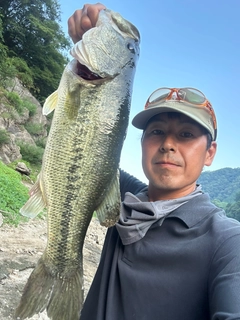ラージマウスバスの釣果
