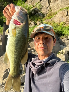 ラージマウスバスの釣果