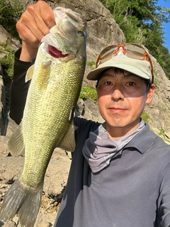 ラージマウスバスの釣果