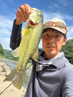 ラージマウスバスの釣果