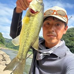 ラージマウスバス