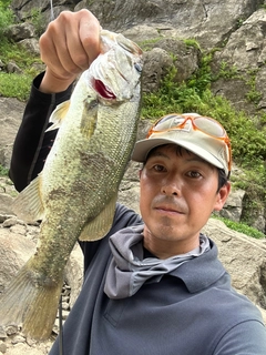 ラージマウスバスの釣果