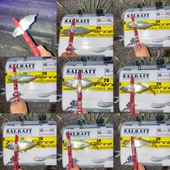 マアジの釣果