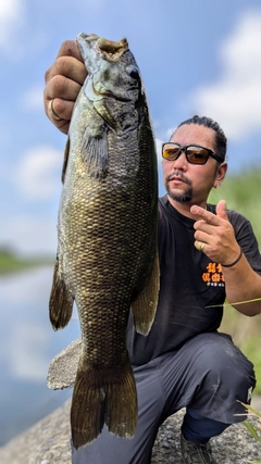 スモールマウスバスの釣果