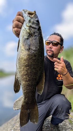 スモールマウスバスの釣果