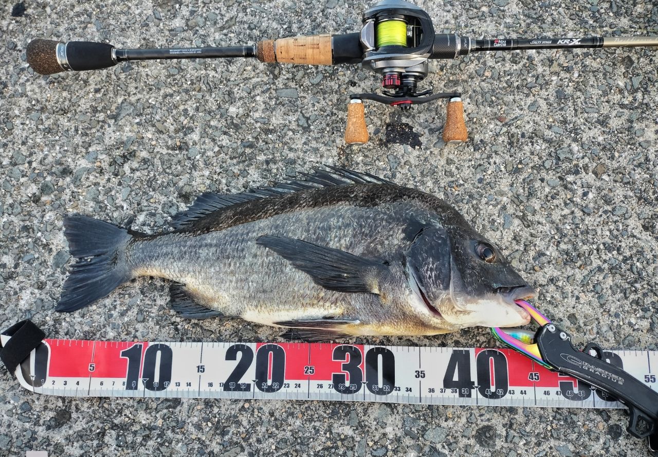 AbuGarcia ソルティーステージ・KR-X・ベイトフィネスカスタム