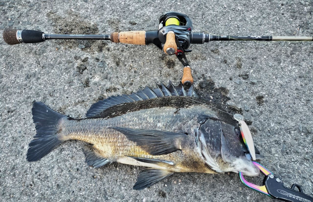 アブガルシア　SBFC-742MLS-KR ベイトフィネス　クロダイ　落とし込み AbuGarcia ソルティーステージ・KR-X・ベイトフィネスカスタム