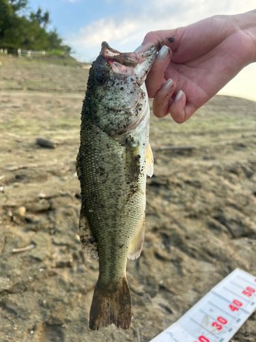 寺内ダム