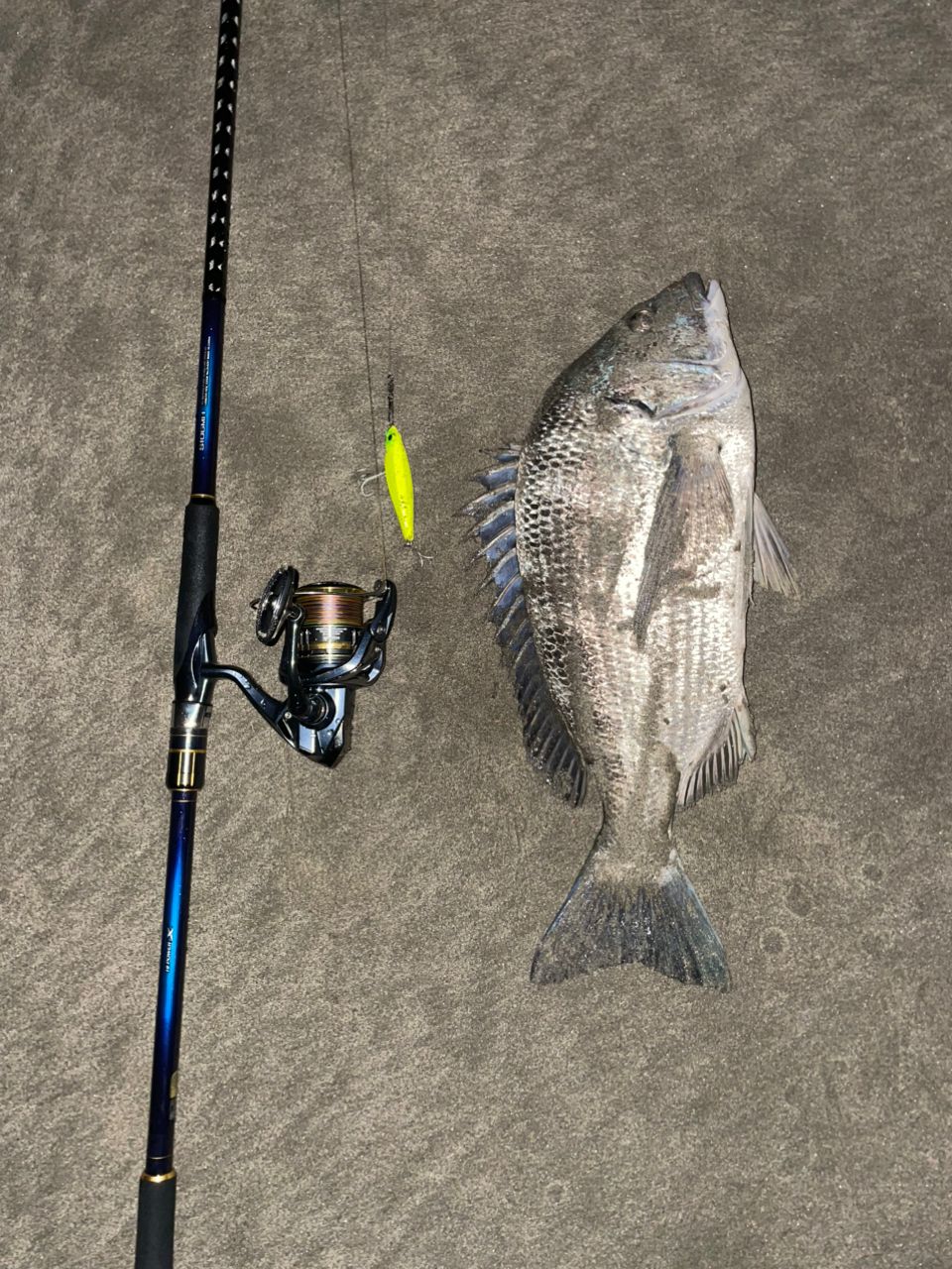 SHIMANO 22ネッサ BB S106MHの最安値・インプレ・釣果 | 本音の