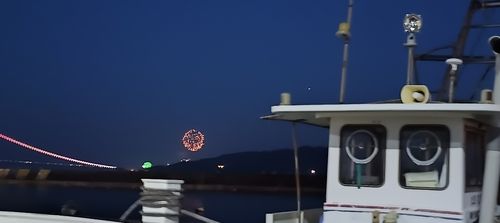 タコの釣果
