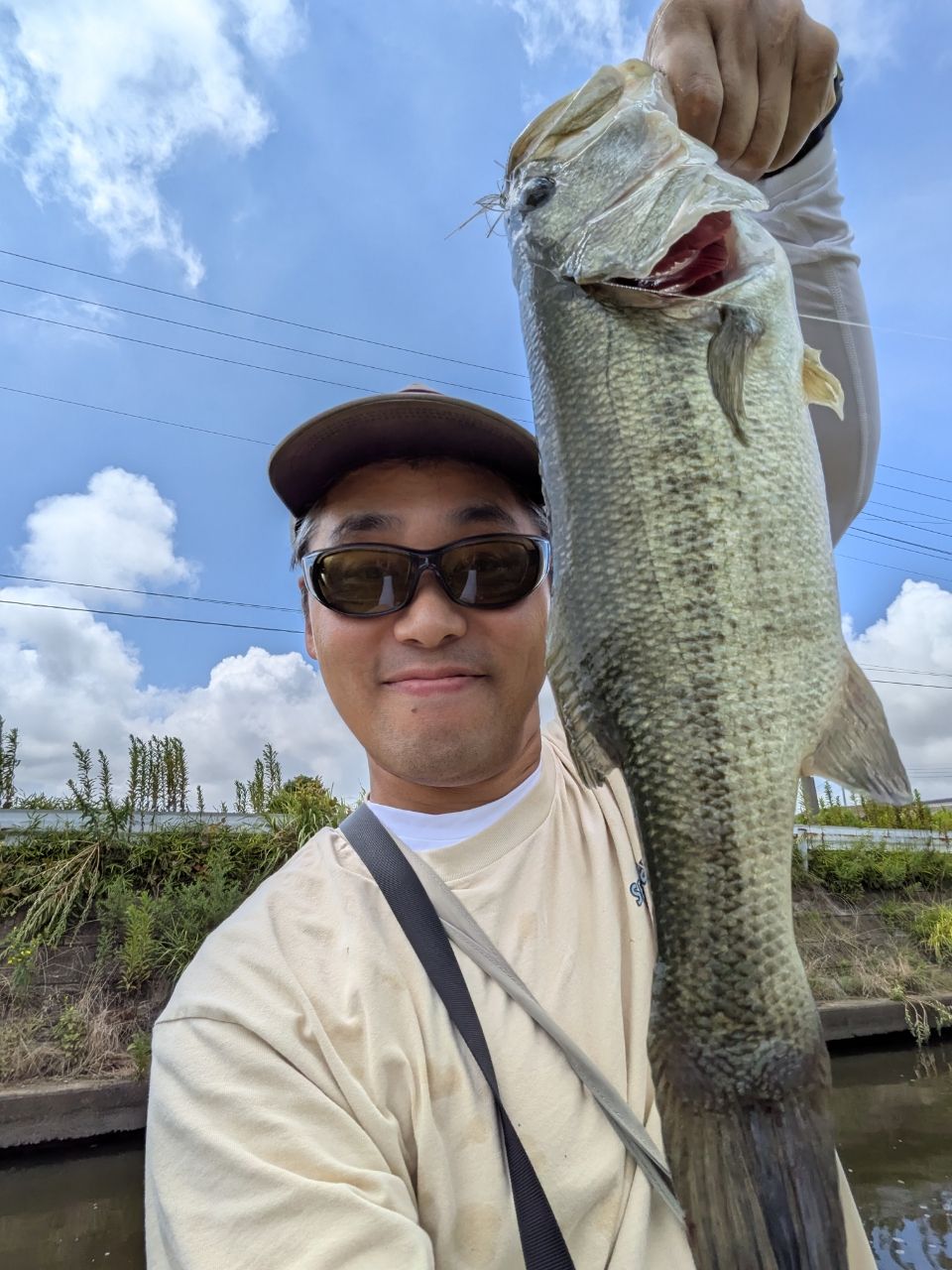 ラージマウスバス