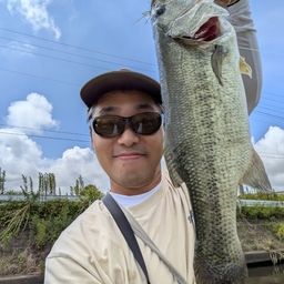 ラージマウスバス