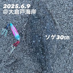 ソゲ