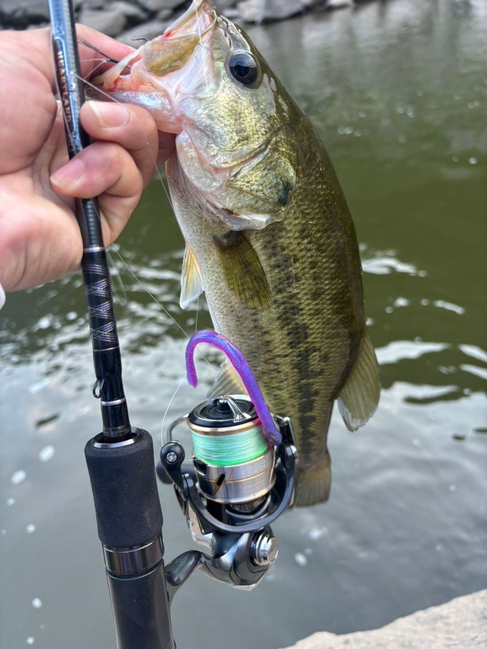 DAIWA 18ハートランド 722LRS-21の最安値・インプレ・釣果