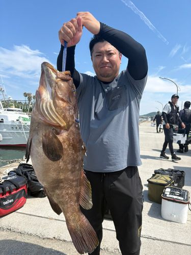 クエの釣果