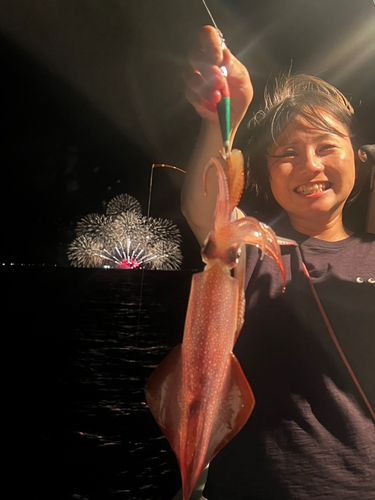 シロイカの釣果
