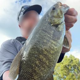 スモールマウスバス