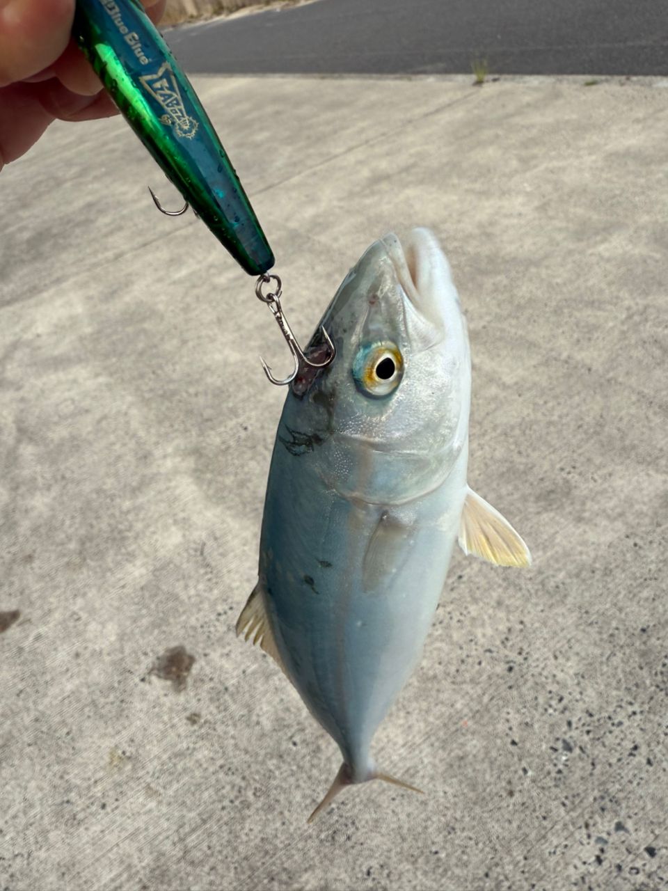 SHIMANO 19ブレニアス S78MLの最安値・インプレ・釣果 | 本音の