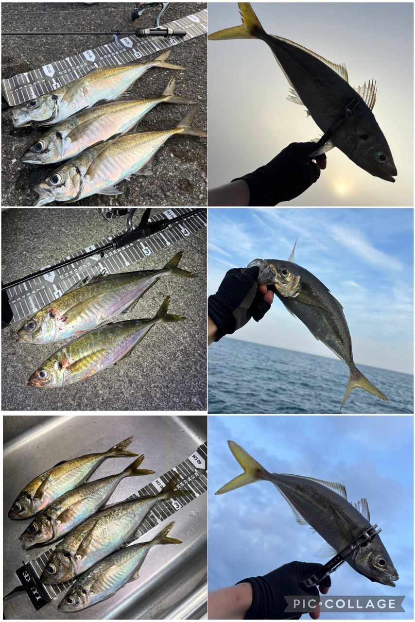 最終値下げ22イグジスト　SF2000SSーH DAIWA 22イグジスト SF2000SS-Hの最安値・インプレ・釣果 | 本音