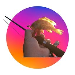 オオモンハタ