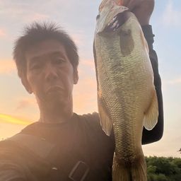 ブラックバス