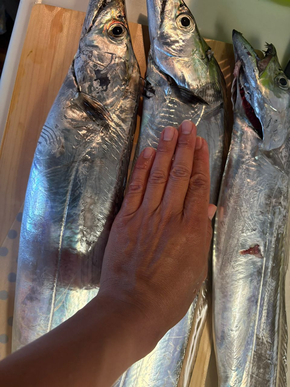 naofjunaoさんの釣果 2枚目の画像