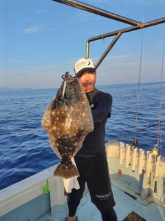 ヒラメの釣果