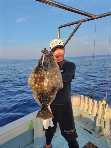 ヒラメの釣果