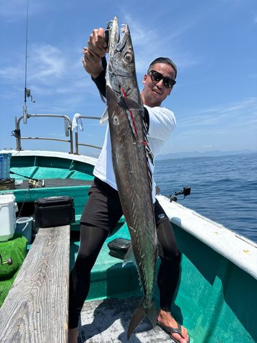 クロシビカマスの釣果