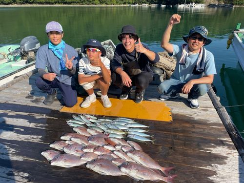 マダイの釣果