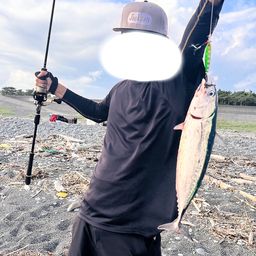 ソウダガツオ