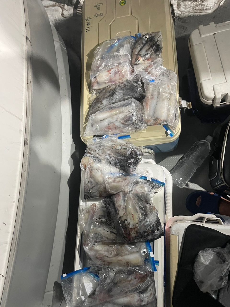 田畑良朗@なつき丸さんの釣果 2枚目の画像