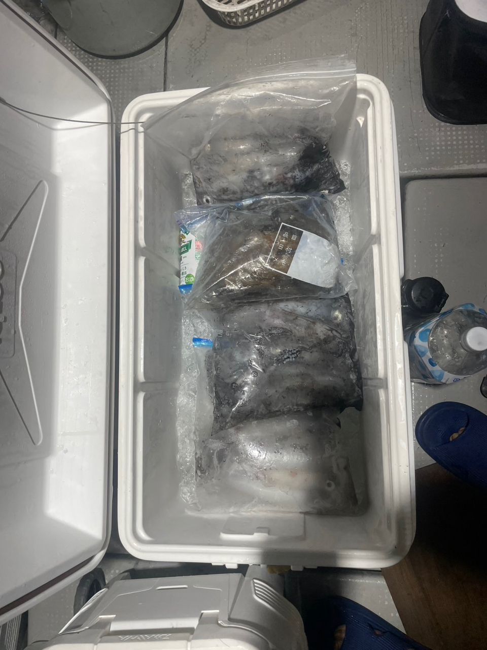 田畑良朗@なつき丸さんの釣果 2枚目の画像