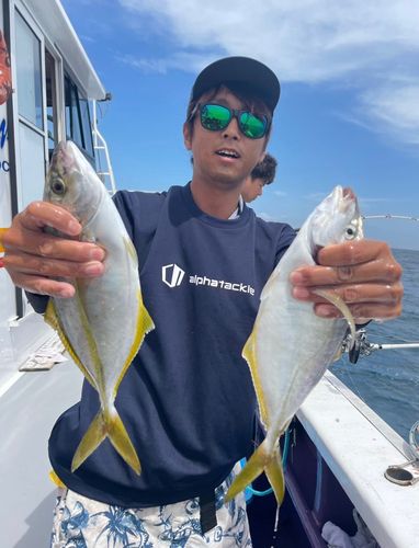 シマアジの釣果