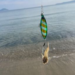 メゴチ