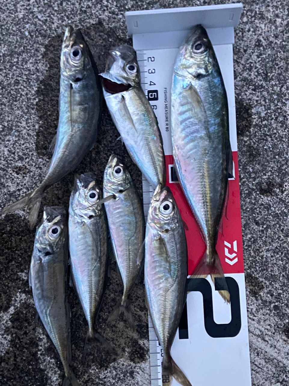 DAIWA 23月下美人 AIR 68L-T・Wの最安値・インプレ・釣果 | 本音