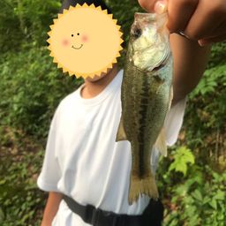 ブラックバス
