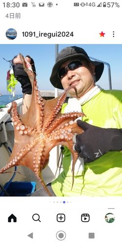 タコの釣果