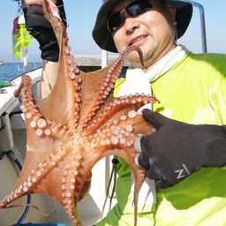 タコ
