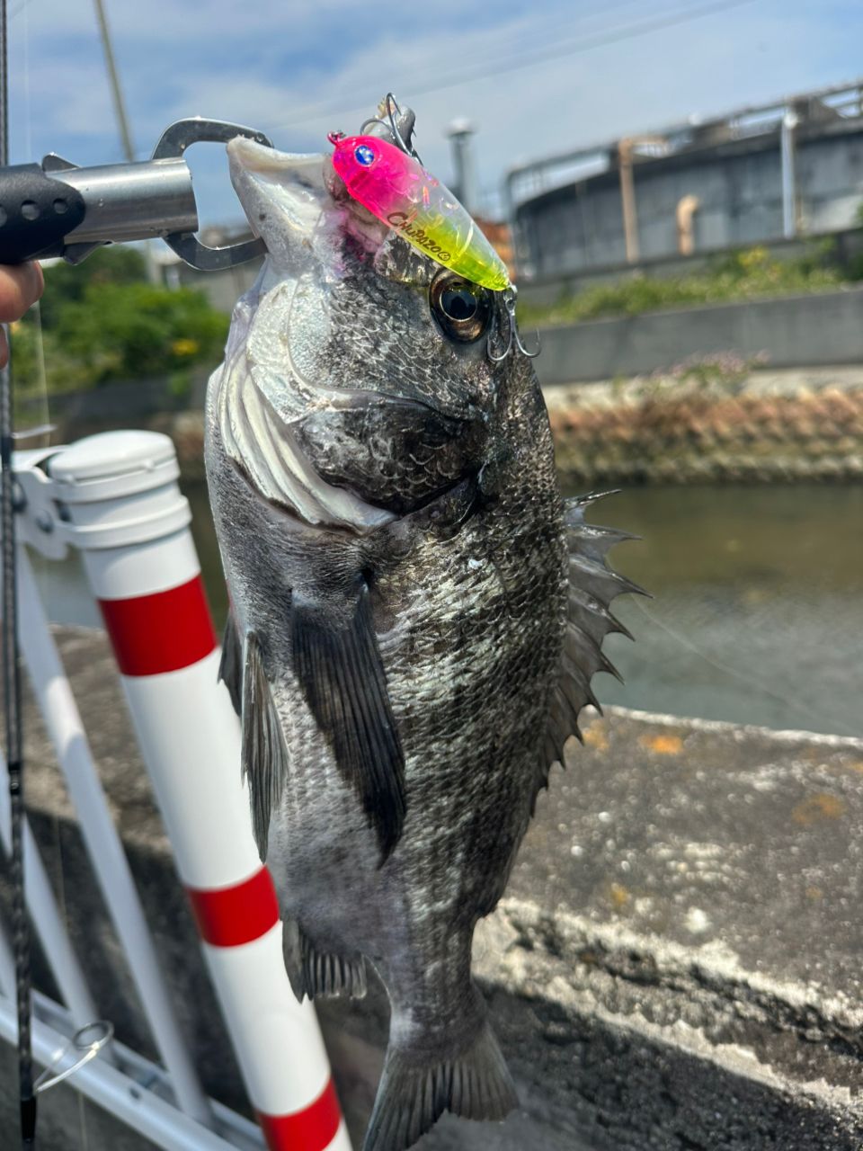 SHIMANO 18ディアルーナ S86MLの最安値・インプレ・釣果 | 本音