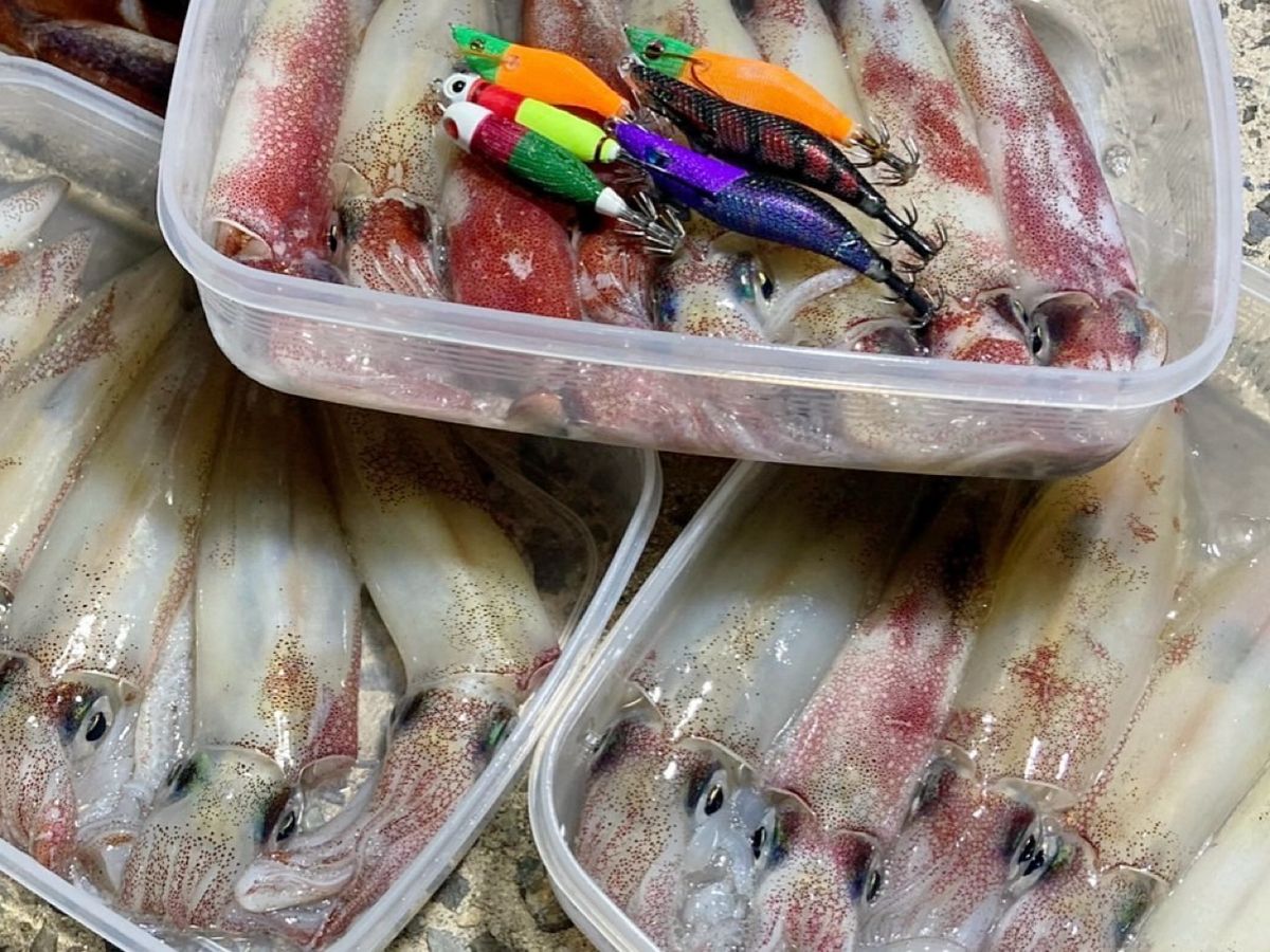 釣りガールみかんさんの釣果 3枚目の画像