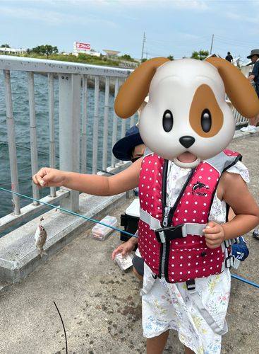 釣果