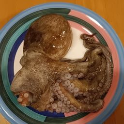タコ