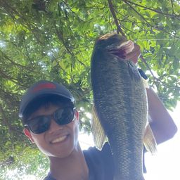 ラージマウスバス