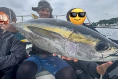 キハダマグロの釣果