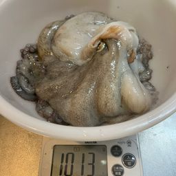 タコ