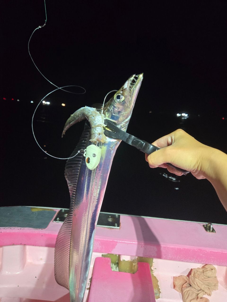 CHIYORIさんの釣果 2枚目の画像