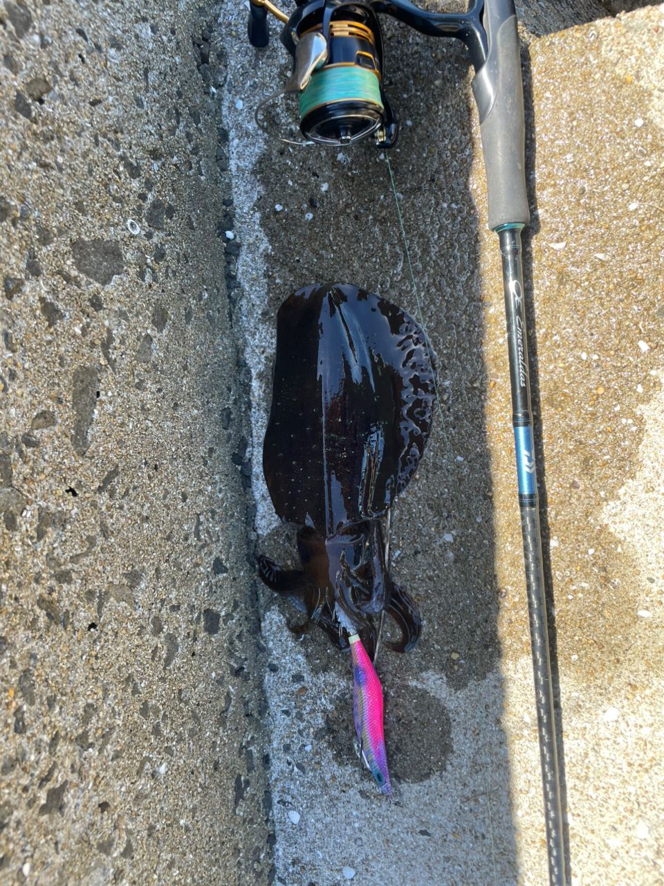 エメラルダス X 86MH DAIWA（釣り） ダイワ エメラルダス X 86MH / エギングロッド