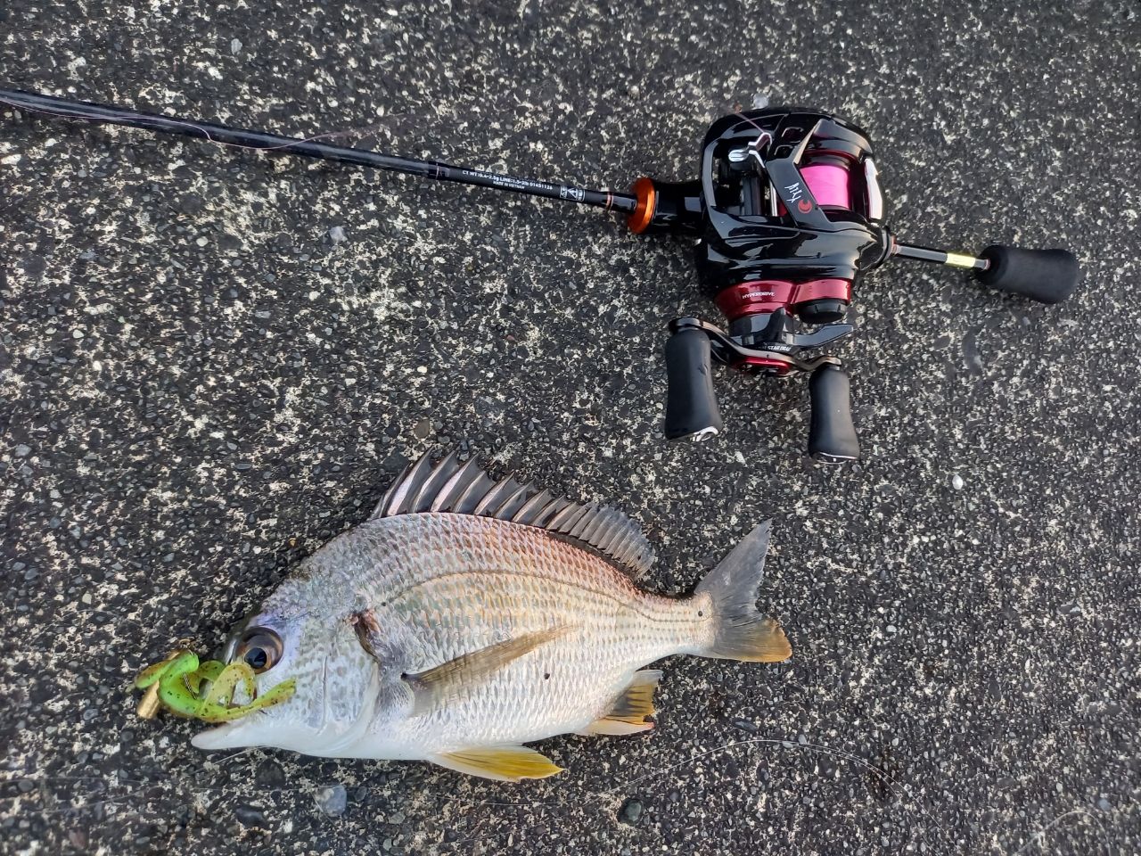 【OOM2806】月下美人 AIR TW L（左） PE SPECIAL Amazon | ダイワ(DAIWA) リール 21 月下美人 AIR TW PE SPECIAL