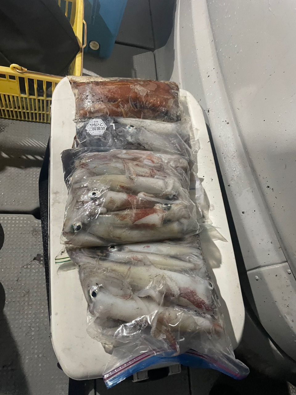 田畑良朗@なつき丸さんの釣果 2枚目の画像